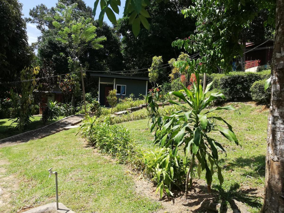 Durian Chalet Kuala Tahan Esterno foto