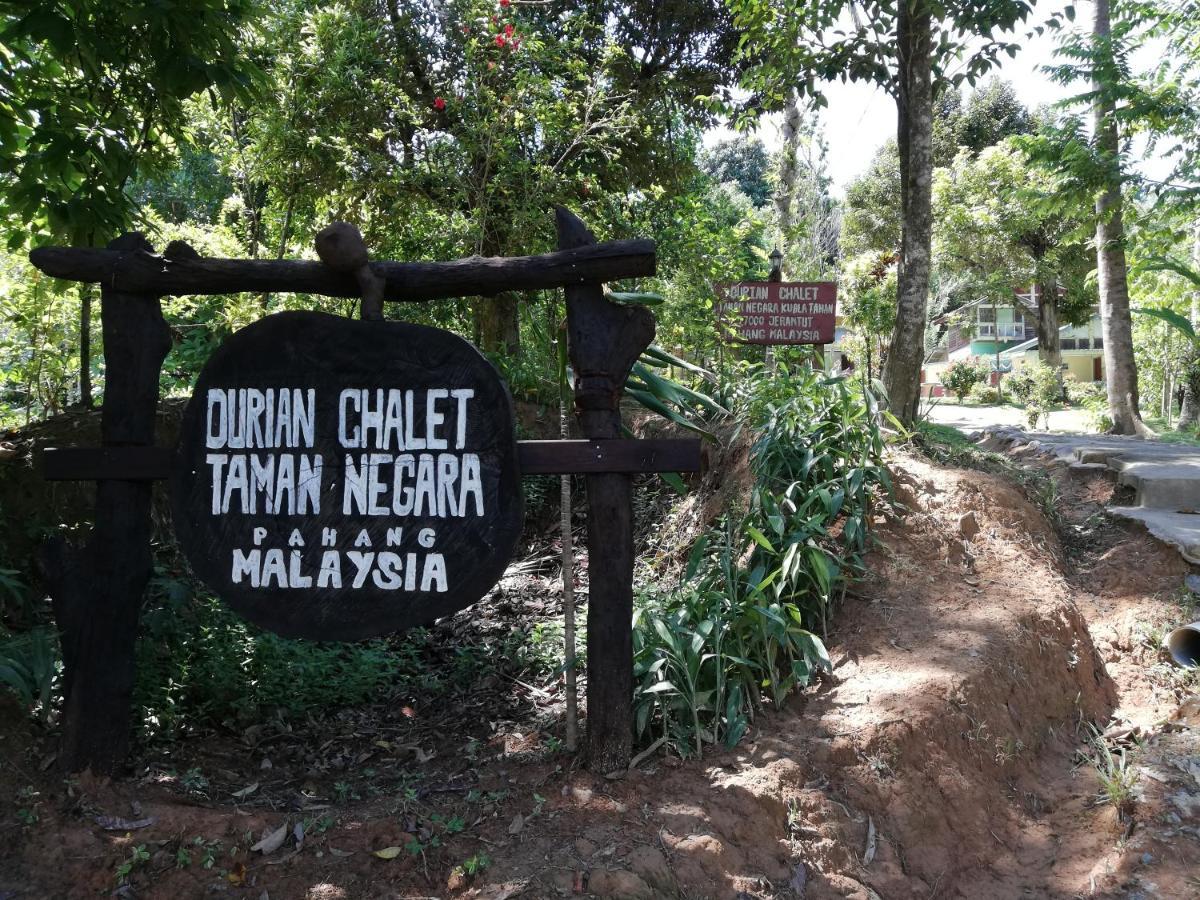Durian Chalet Kuala Tahan Esterno foto
