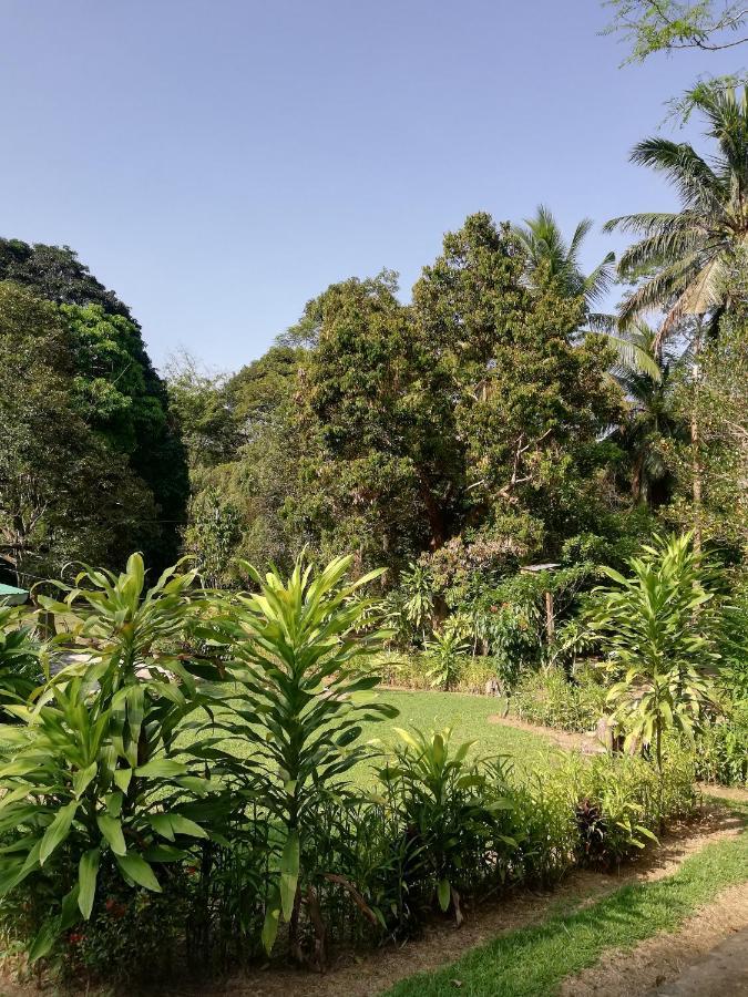 Durian Chalet Kuala Tahan Esterno foto