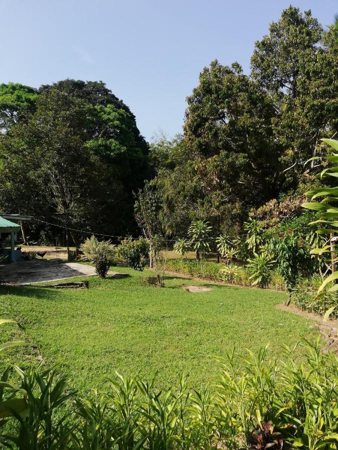 Durian Chalet Kuala Tahan Esterno foto