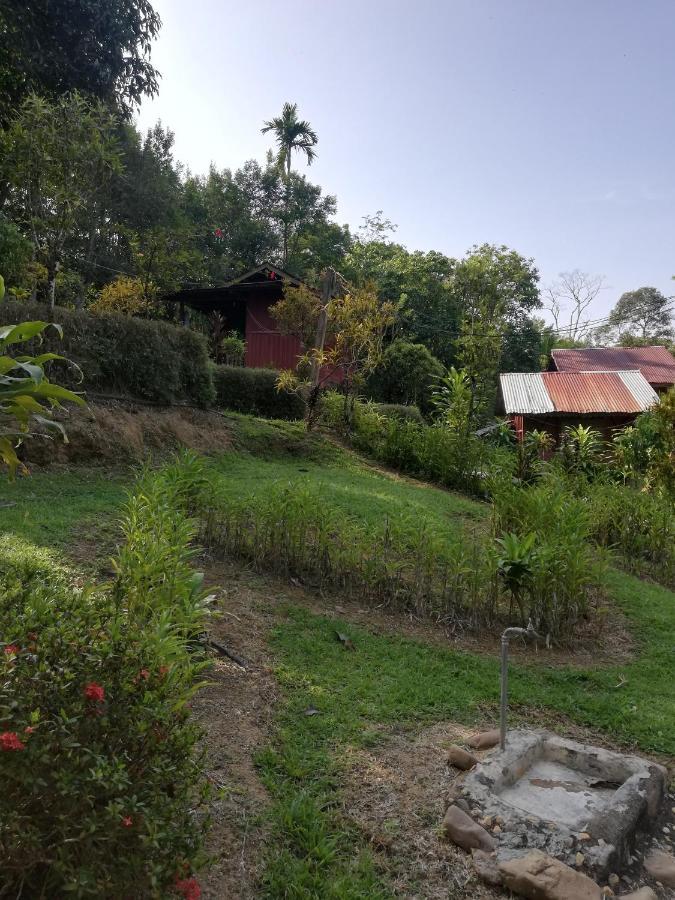 Durian Chalet Kuala Tahan Esterno foto