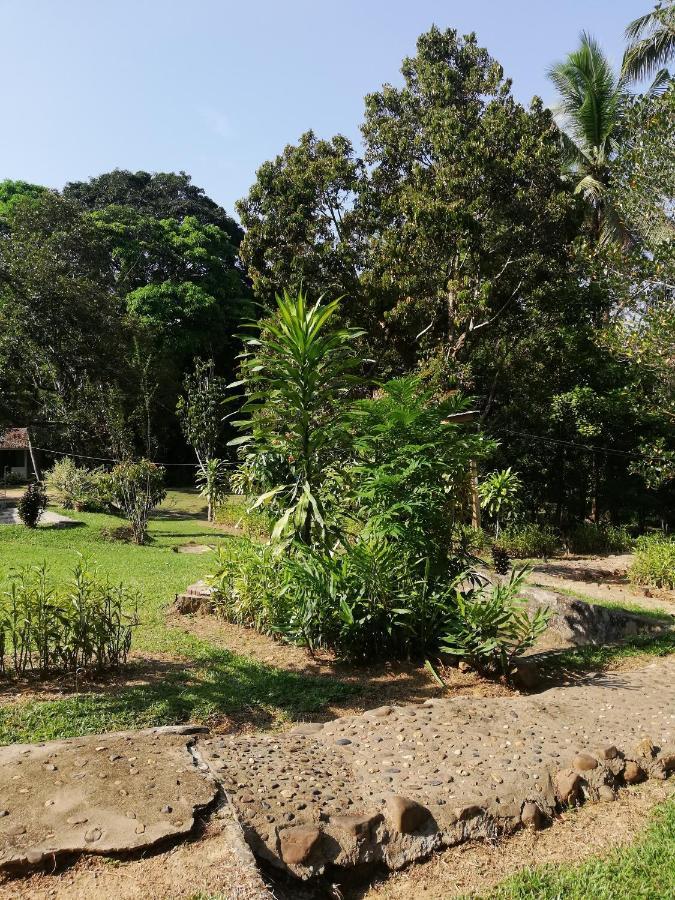 Durian Chalet Kuala Tahan Esterno foto