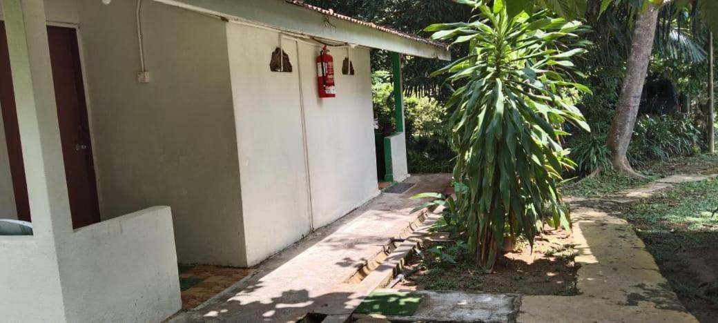 Durian Chalet Kuala Tahan Esterno foto