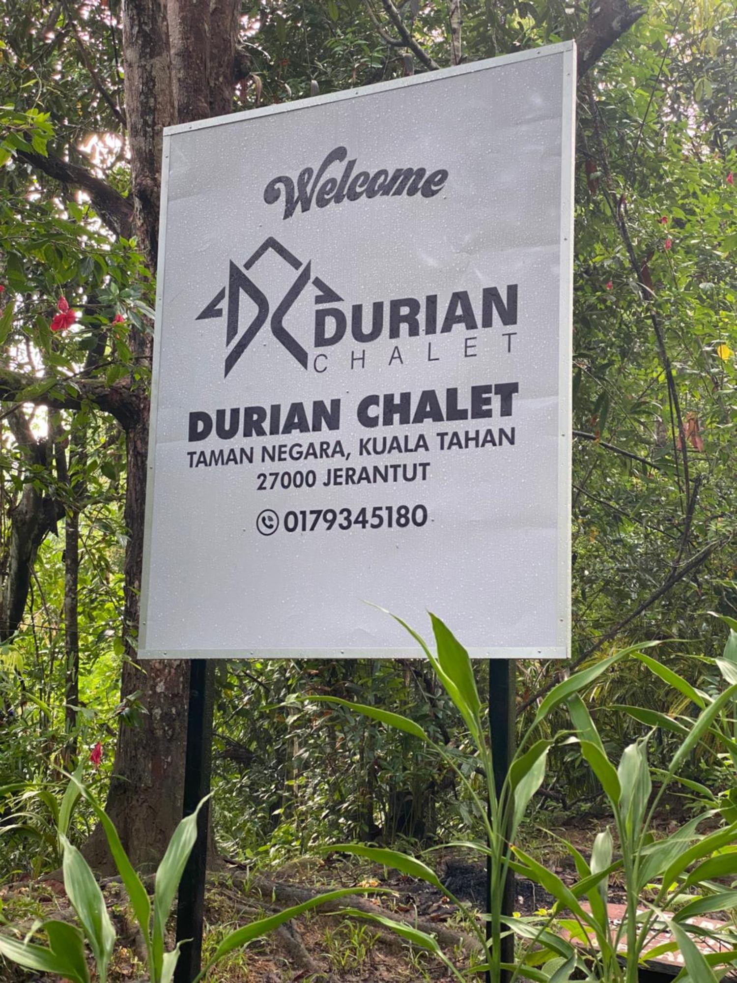Durian Chalet Kuala Tahan Esterno foto