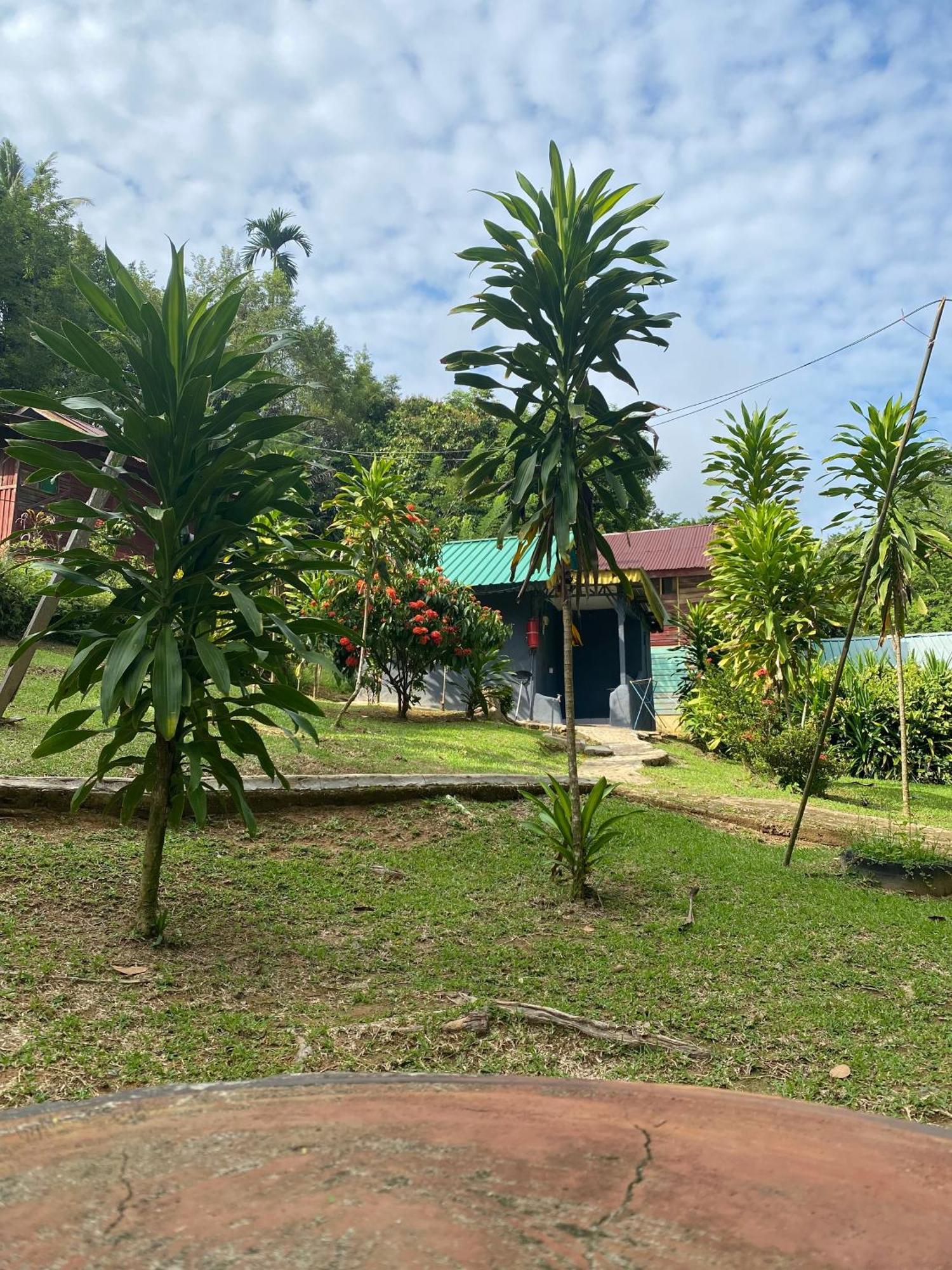 Durian Chalet Kuala Tahan Esterno foto